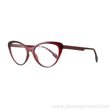 TR90 Metal Mixed Stainless Steel Glasses Frame Eyeglass